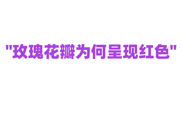 "玫瑰花瓣为何呈现红色"